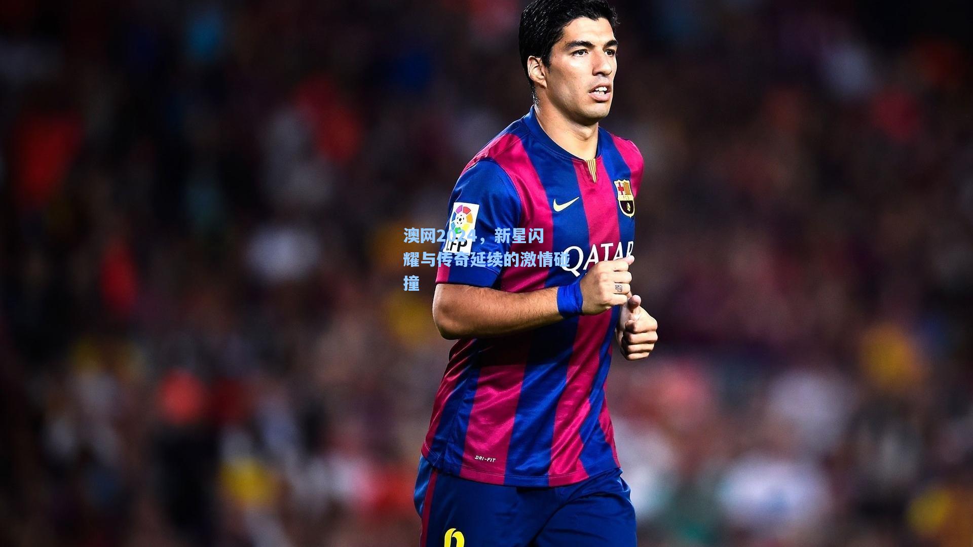 澳网2024，新星闪耀与传奇延续的激情碰撞