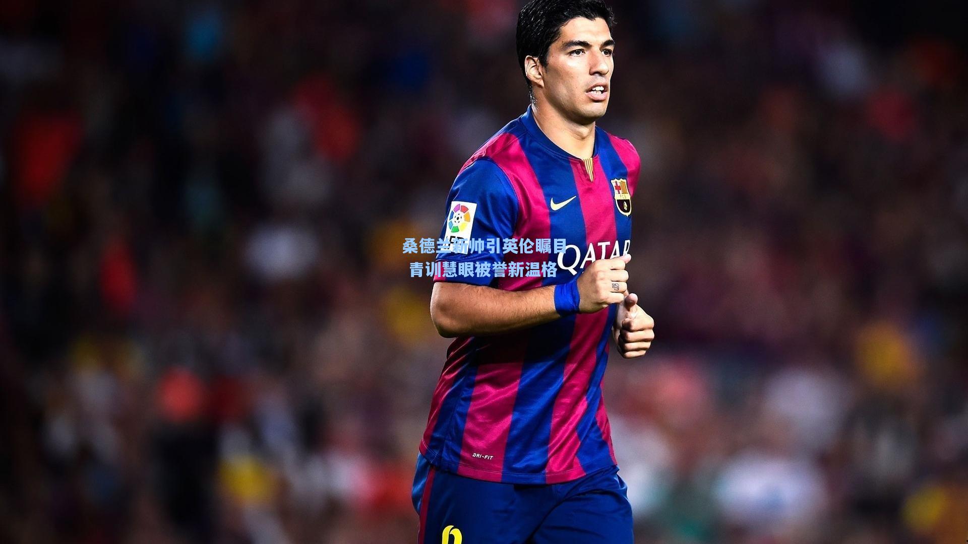 桑德兰新帅引英伦瞩目 青训慧眼被誉新温格