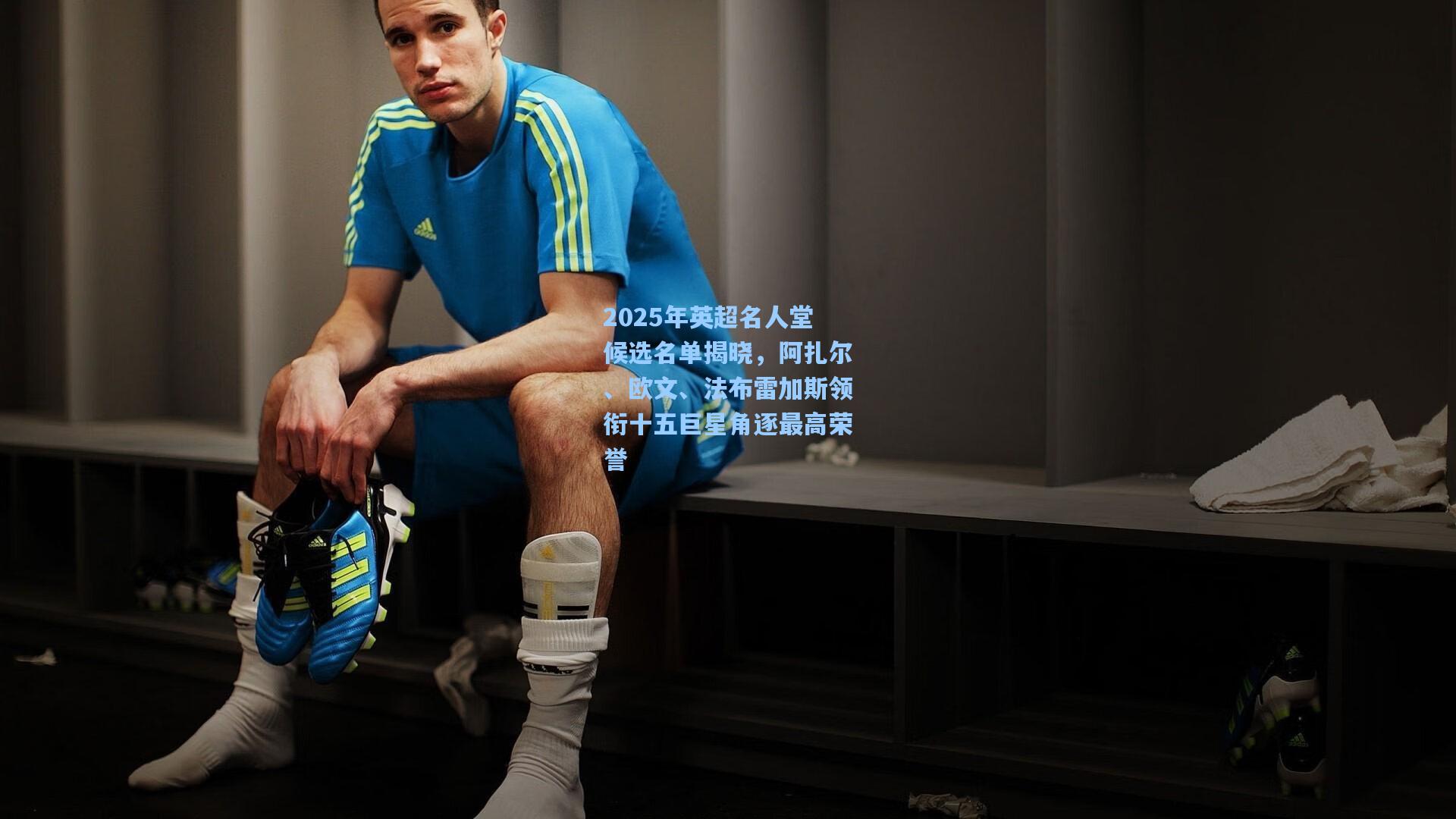 2025年英超名人堂候选名单揭晓，阿扎尔、欧文、法布雷加斯领衔十五巨星角逐最高荣誉